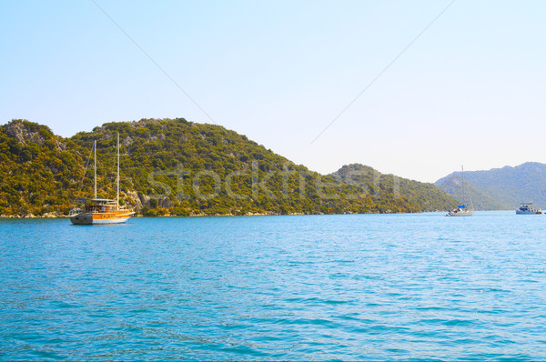 Splendid mountains and gulf with yachts. Stock photo © lypnyk2