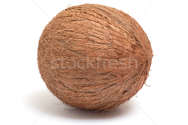 Stock photo: One  coconut on a white background.