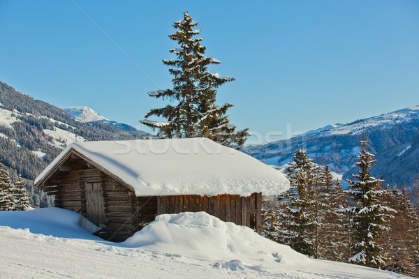 Alpine scenery Stock photo © macsim