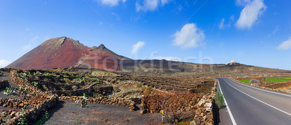 Empty road Lanzarote, Canary islands Stock photo © macsim