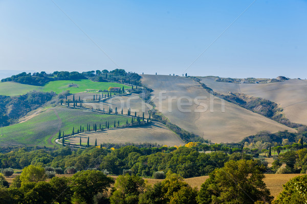 Tuscan peisaj tipic frumos iarbă schi Imagine de stoc © macsim