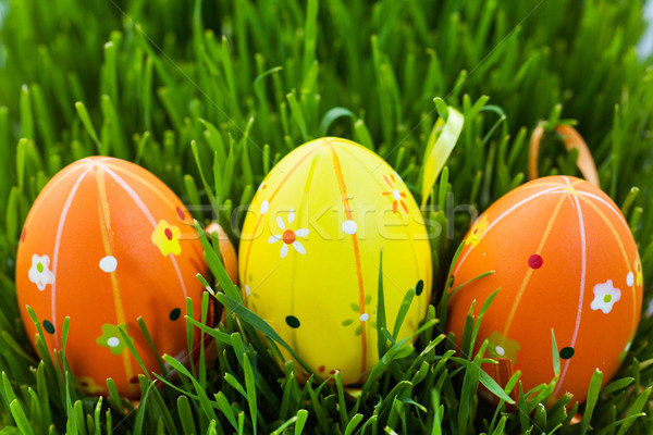 Easter Eggs zielona trawa kolorowy Wielkanoc trawy charakter Zdjęcia stock © macsim