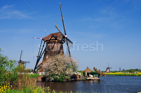Wind Mill Stock photo © macsim