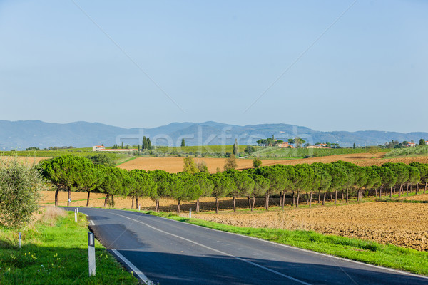 Tuscan landscape Stock photo © macsim