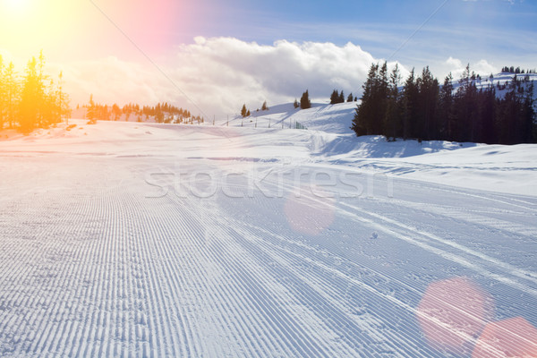 5ab65cd0-8cf3-4a5d-be51-7a2e69eeba19 Stock photo © macsim