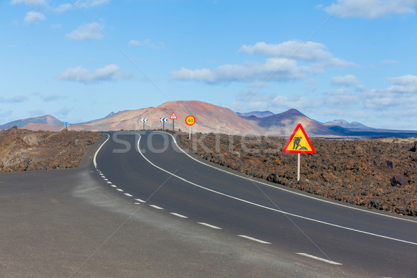 Empty road Lanzarote, Canary islands Stock photo © macsim
