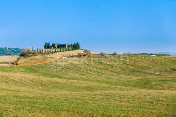 Toskański krajobraz typowy piękna trawy narciarskie Zdjęcia stock © macsim