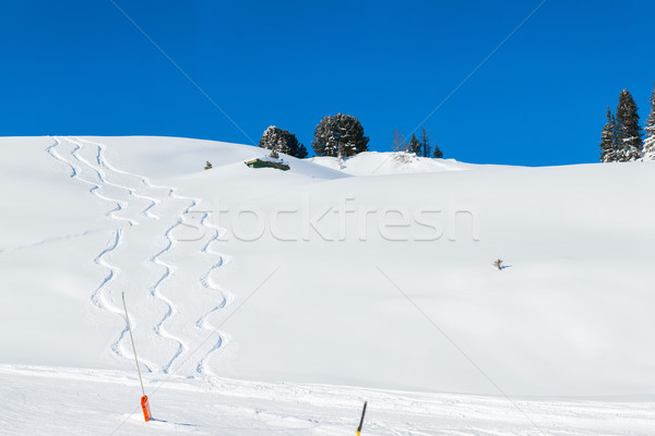 Snow background with ski and snowboard tracks Stock photo © macsim