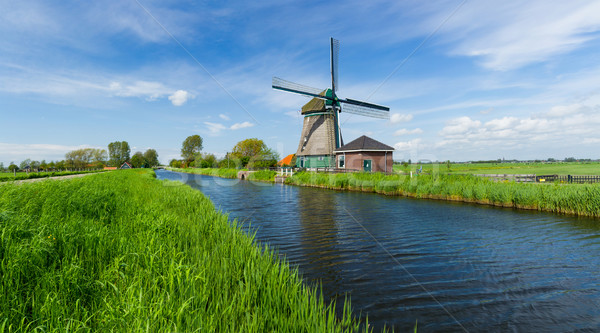 Windmühle Niederlande Panorama traditionellen Kanal Stock foto © macsim