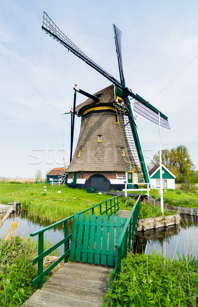 Dutch windmill. Netherlands Stock photo © macsim