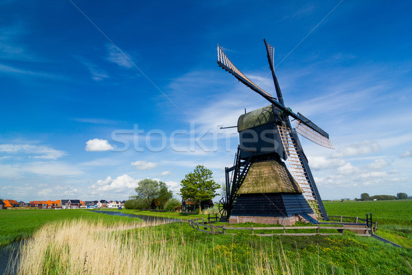 Dutch windmill. Netherlands Stock photo © macsim