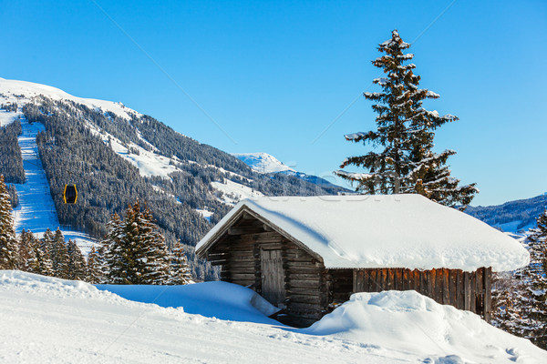 阿爾卑斯山的 風景 景觀 房子 抬 椅子 商業照片 © macsim