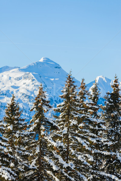 Panorama góry krajobraz zimą wakacje piękna Zdjęcia stock © macsim