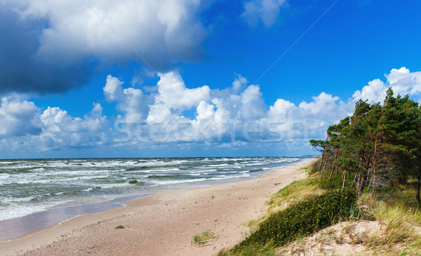 Beautiful scenic view of Baltic sea Stock photo © macsim