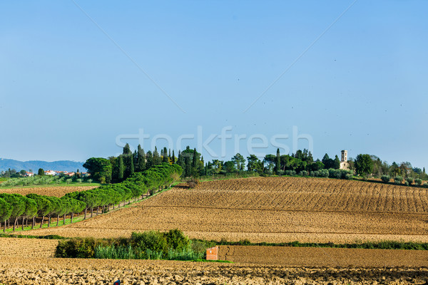 Foto stock: Toscano · paisagem · típico · belo · grama · esquiar