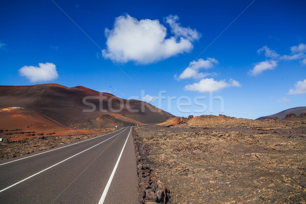 Empty road Lanzarote, Canary islands Stock photo © macsim