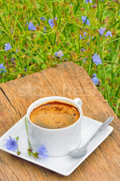 Chicory hot drink Stock photo © mady70