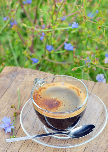 cup of chicory hot drink Stock photo © mady70