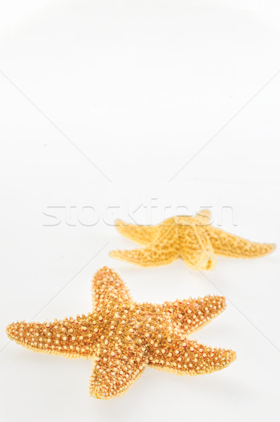 Dried yellow-orange starfish Stock photo © mady70