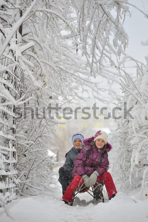 Kids sliding in winter time Stock photo © mady70
