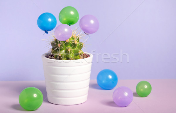 Cactus in pot and small baloons Stock photo © mady70