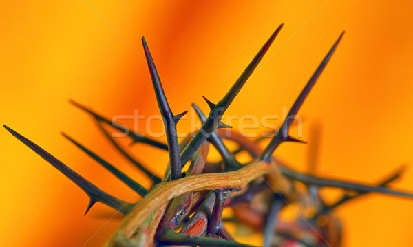 Coroană portocaliu izolat proiect Isus viaţă Imagine de stoc © mady70