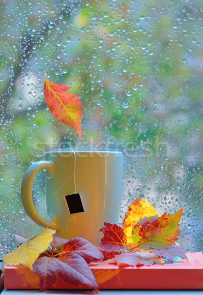 Tea cup at the window with  leaves and drops Stock photo © mady70