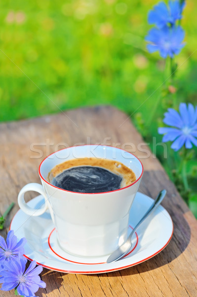 chicory coffee Stock photo © mady70
