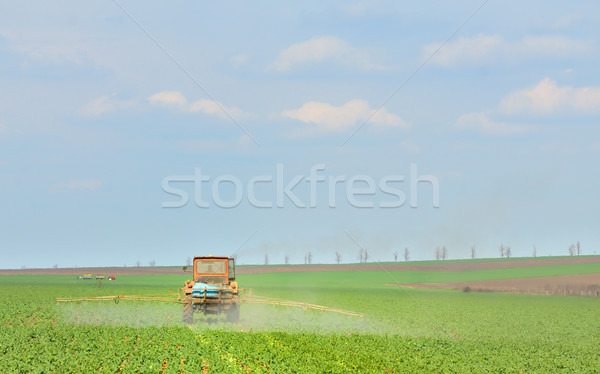 Tractor fertilizes crops in the field Stock photo © mady70