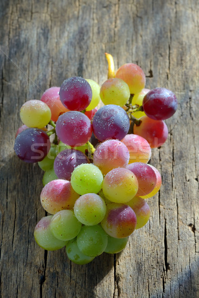 Unripe grapes Stock photo © mady70