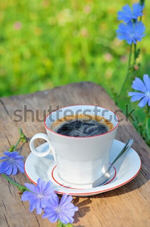 Chicory hot drink and a flower Stock photo © mady70