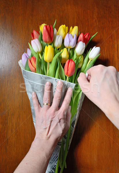 hand keeps a bouquet of tulips  Stock photo © mady70