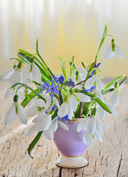 snowdrops in vase on old wood Stock photo © mady70