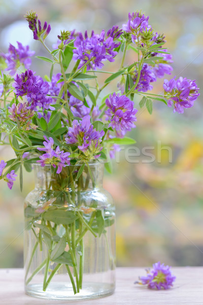 Bouquet flower in vase Stock photo © mady70