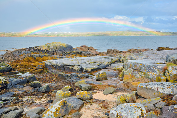 Foto stock: Irlanda · arco-íris · grama · natureza · paisagem