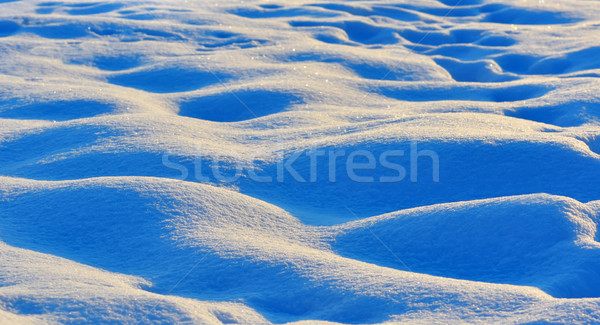 Fale śniegu makro charakter świetle pustyni Zdjęcia stock © mady70