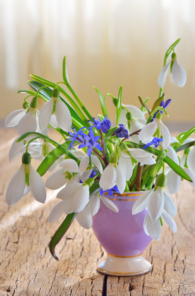 Stock photo: Snowdrops in vase