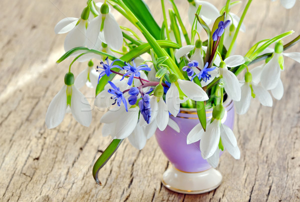 Beautiful bouquet snowdrops in a vase on woody background Stock photo © mady70