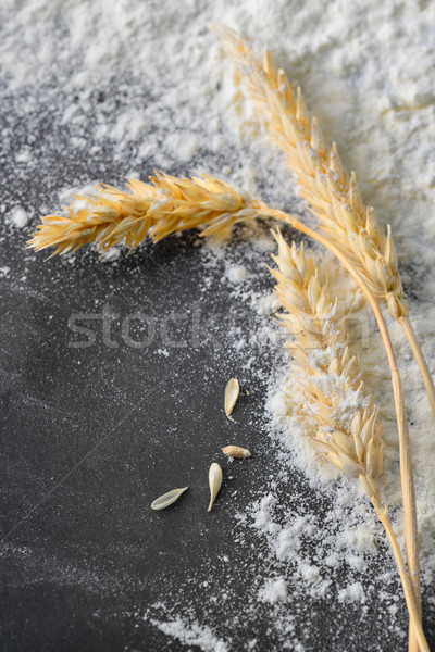 whole flour and wheat ears Stock photo © mady70