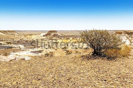 Breakaways Coober Pedy Stock photo © magann