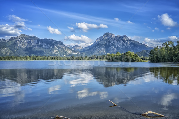 Neuschwanstein at Forggensee lake Stock photo © magann