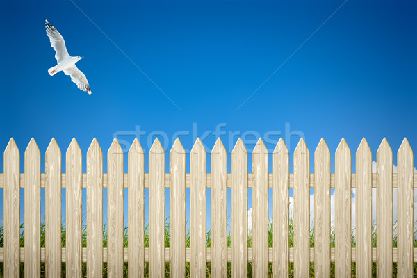 fence background Stock photo © magann