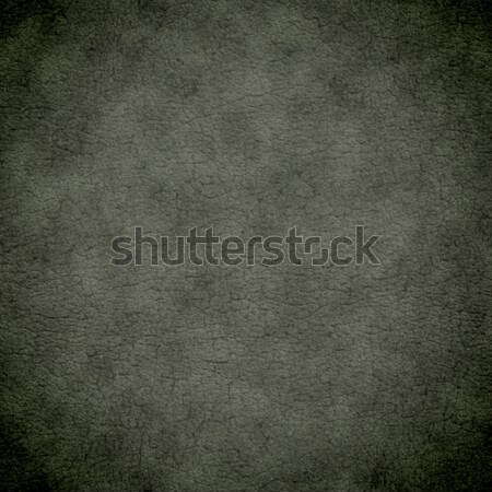 leather Stock photo © magann