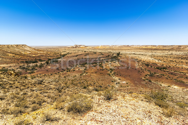Bild groß Hund Landschaft orange blau Stock foto © magann