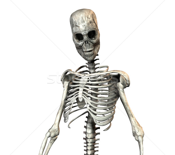 Esqueleto Cara Assustadora - Fotografias de stock e mais imagens de Adulto  - Adulto, Assustador, Branco - iStock