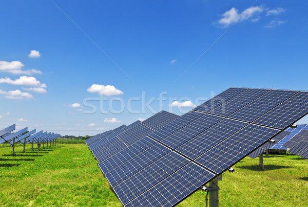 Solar plantă imagine mare afaceri iarbă Imagine de stoc © magann