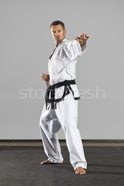 Arts martiaux maître image homme sport santé [[stock_photo]] © magann