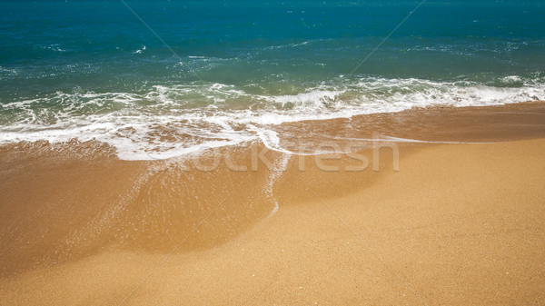 beach Stock photo © magann