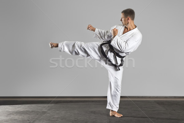 Dövüş sanatları görüntü adam spor sağlık Stok fotoğraf © magann