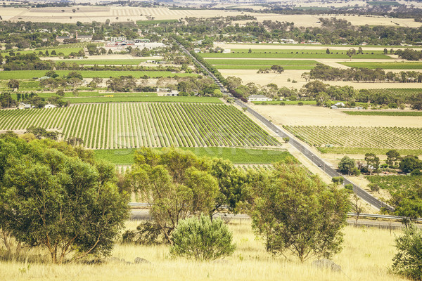 Valle immagine panorama Australia nubi frutta Foto d'archivio © magann